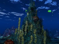 Pirate Hunter screenshot, image №393259 - RAWG
