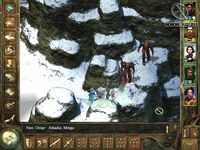 Icewind Dale screenshot, image №316309 - RAWG