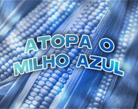 Atopa o Milho Azul screenshot, image №3589211 - RAWG