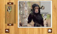 Jigsaw Collection screenshot, image №1153226 - RAWG