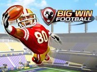 Big Win Football 2019 screenshot, image №913448 - RAWG