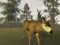 Deer Hunter 2005 screenshot, image №405117 - RAWG