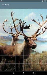 Jigsaw Puzzle: Animals screenshot, image №1497951 - RAWG