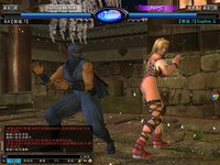 Dead or Alive Online screenshot, image №480114 - RAWG