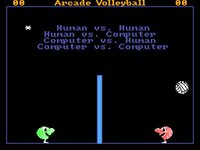 Arcade Volleyball (SMS) screenshot, image №2808563 - RAWG