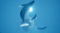 ABZU screenshot, image №49470 - RAWG