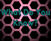 What Do You Know? ( Ludum Dare Jam) screenshot, image №3601547 - RAWG