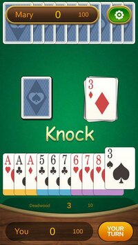 Gin Rummy Pro screenshot, image №2898541 - RAWG