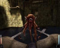 Dark Messiah of Might and Magic screenshot, image №1749750 - RAWG