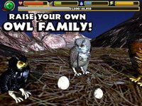 Owl Simulator screenshot, image №955272 - RAWG