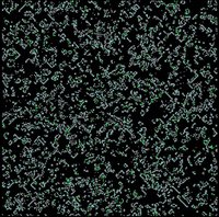 Cellular automata 2020 screenshot, image №2346052 - RAWG