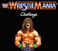 WWF WrestleMania Challenge screenshot, image №738790 - RAWG