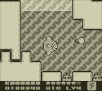 Kirby's Dream Land 2 (3DS) screenshot, image №782065 - RAWG