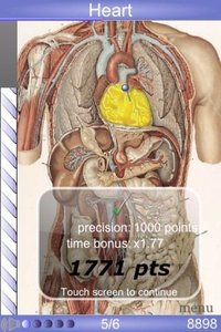 Speed Anatomy (No ads) screenshot, image №2104890 - RAWG