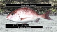 Reel Fishing Ocean Challenge screenshot, image №258824 - RAWG