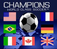 Champions World Class Soccer screenshot, image №758682 - RAWG