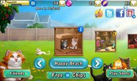 Bingo Cats screenshot, image №1473997 - RAWG