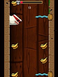 To-Fu Ninja - Fruit Yama Style screenshot, image №1763844 - RAWG