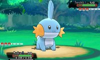 Pokémon Alpha Sapphire, Omega Ruby screenshot, image №781412 - RAWG