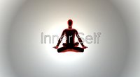 Inner Self (Vectorfold) screenshot, image №1764950 - RAWG