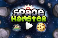 Space Hamster screenshot, image №1188972 - RAWG