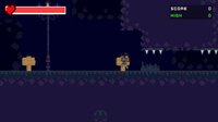 Swordshine Crussaders screenshot, image №2400462 - RAWG