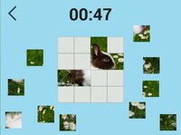 Ultimate Puzzles: Animals 2 screenshot, image №2695886 - RAWG