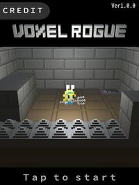 VoxelRogue screenshot, image №2218625 - RAWG