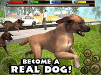 Ultimate Dog Simulator screenshot, image №1968086 - RAWG