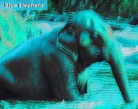 Blue Elephant screenshot, image №3356073 - RAWG
