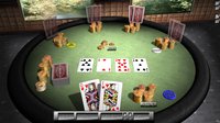 Classic Card Games 3D screenshot, image №1722305 - RAWG