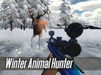 Winter Animal Hunter 3D Full screenshot, image №1786654 - RAWG