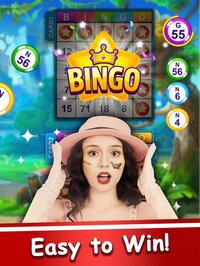 Bingo Frenzy2022 screenshot, image №3293310 - RAWG