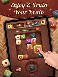 Merge Dice - Puzzle Game 5x5 screenshot, image №2408812 - RAWG