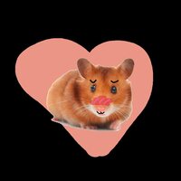 low budget hamster dating sim screenshot, image №3853834 - RAWG