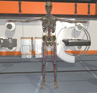 Surgical Study and 3D Skeletons for Medical School Students screenshot, image №2204058 - RAWG