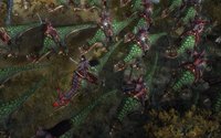 Warhammer: Mark of Chaos - Battle March screenshot, image №483463 - RAWG