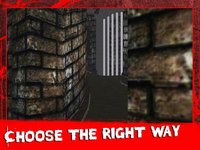 Scary Maze - Horror Escape 3D screenshot, image №1705163 - RAWG