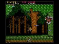 GHOSTS N GOBLINS screenshot, image №245645 - RAWG