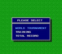 Capcom's Gold Medal Challenge '92 screenshot, image №734940 - RAWG