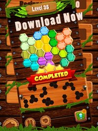 Hexa Wood Block Puzzle! screenshot, image №2036803 - RAWG