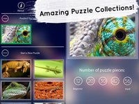 Venn Lizards: Jigsaw Puzzle screenshot, image №1788561 - RAWG