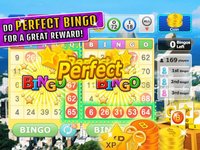 Bingo Craze! screenshot, image №1738163 - RAWG