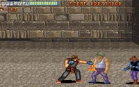 Action Fighter (1994) screenshot, image №334882 - RAWG