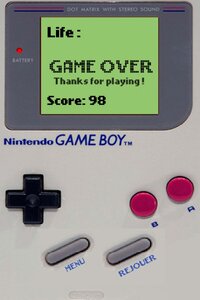 Game Boy Games Collector screenshot, image №2765825 - RAWG