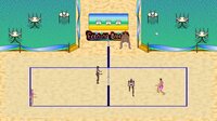 Beach Volleyball Competition 2020 screenshot, image №2513356 - RAWG