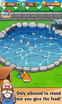 Goldfish Collection screenshot, image №1491917 - RAWG