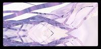 Sur tout le retour screenshot, image №1185174 - RAWG