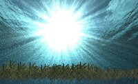 Palmenstrand DELUXE screenshot, image №2960807 - RAWG