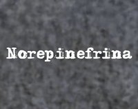 Norepinefrina screenshot, image №1813411 - RAWG
